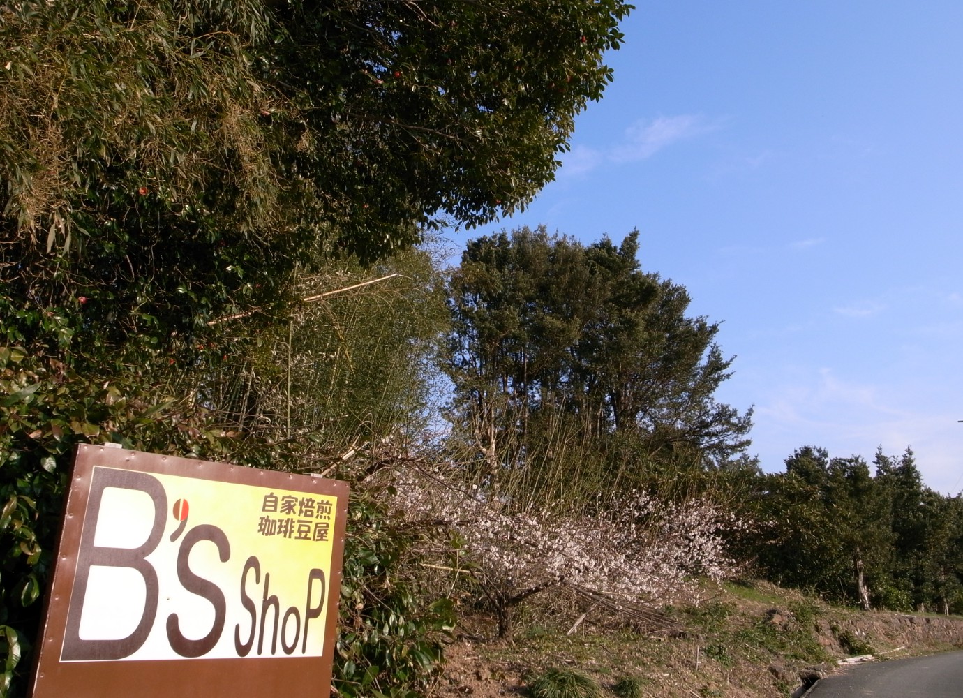 B's shoP