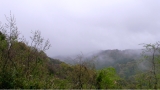 R0012143.JPG