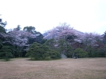 R0012051.JPG
