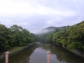 R0012952.JPG