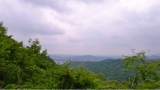 R0013073.JPG
