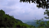 R0013161.JPG