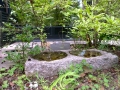 R0013507.JPG