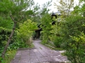 R0013509.JPG