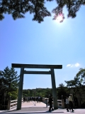 R0013832.jpg