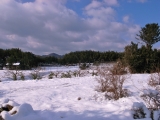 R0014083.JPG