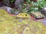 R0014105.JPG