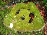 IMG_1026.JPG