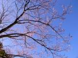 R0014169.JPG
