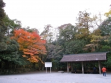 R0014806.JPG