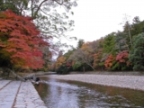 R0014808.JPG