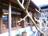 R0014906.JPG