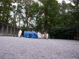 R0014950.JPG