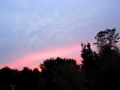 R0010936.JPG