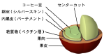 Coffee_Bean.png