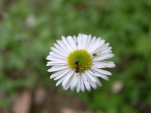 R0010359.JPG