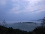 R0011142.JPG