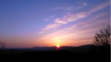 R0011323.JPG