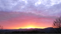 R0011350.JPG