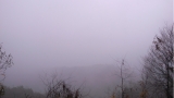R0011415.JPG
