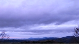 R0011419.JPG