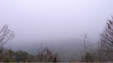 R0011511.JPG