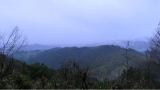 R0011618.JPG