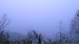 R0011621.JPG