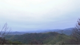 R0011633.JPG