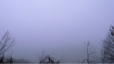 R0011720.JPG