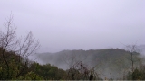 R0011926.JPG